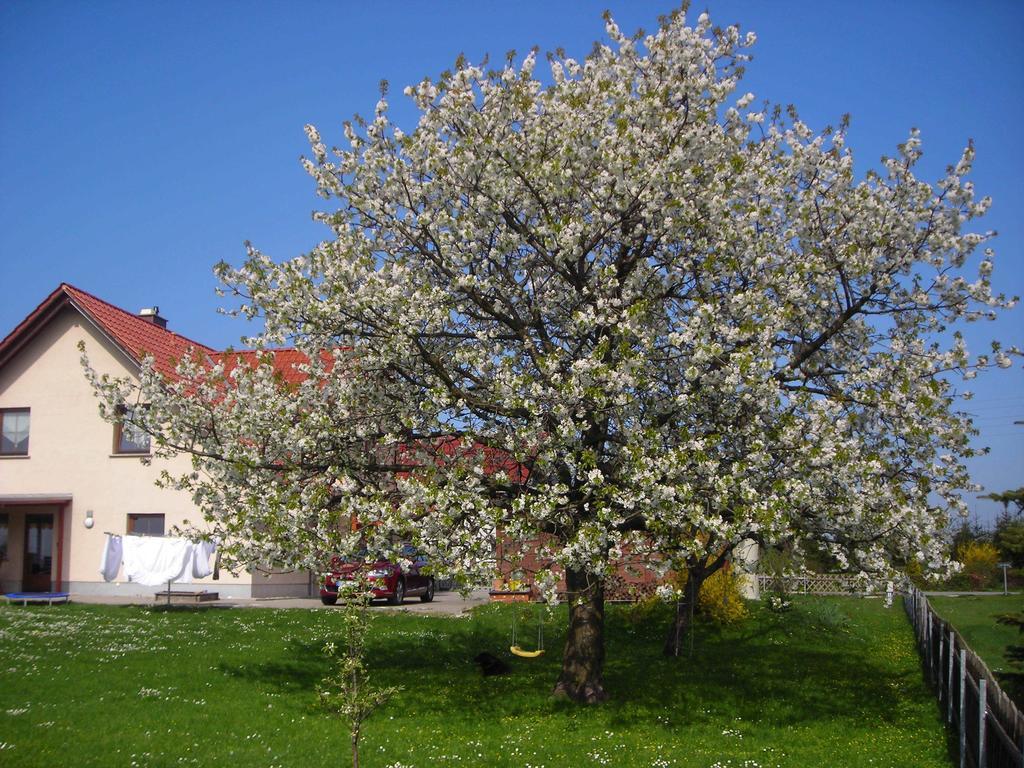 Ferienwohnung Gisela Kaestner Щолпен Стая снимка